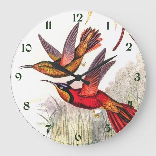 Vintage Hummingvögel von John Gould Große Wanduhr (Vorderseite)