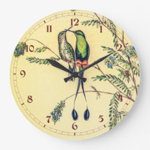 Vintage Hummingvögel von John Gould