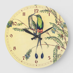 Vintage Hummingvögel von John Gould Große Wanduhr