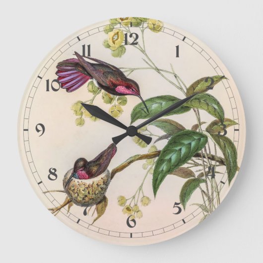 Vintage Hummingvögel von John Gould Große Wanduhr (Vorderseite)