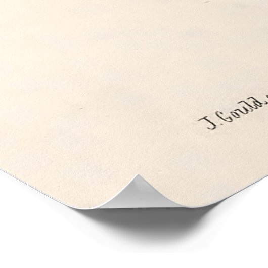 Vintage Hummingvögel von John Gould Poster (Ecke)