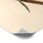 Vintage Hummingvögel von John Gould Poster (Ecke)