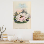 Vintage Hummingvögel von John Gould Poster (Küche)