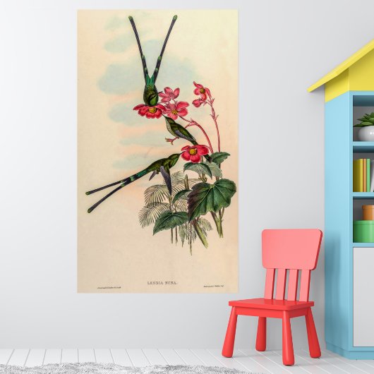 Vintage Hummingvögel von John Gould Poster (Kinderzimmer 1)