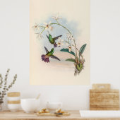 Vintage Hummingvögel von John Gould Poster (Küche)