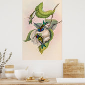 Vintage Hummingvögel von John Gould Poster (Küche)