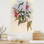 Vintage Hummingvögel von John Gould Poster (Küche)