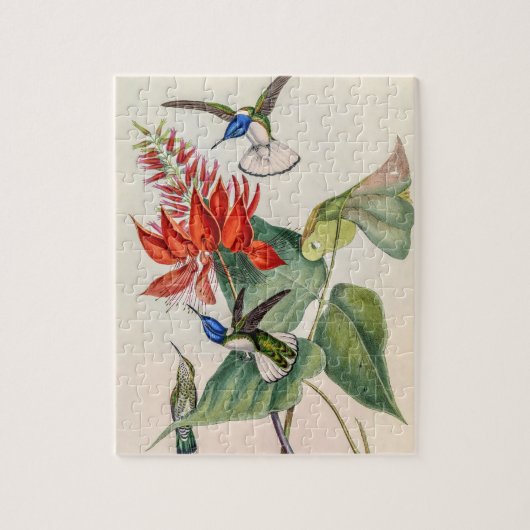 Vintage Hummingvögel von John Gould Puzzle (Vertikal)
