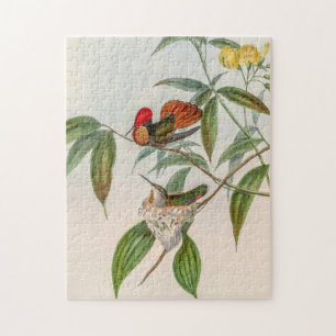 Vintage Hummingvögel von John Gould Puzzle