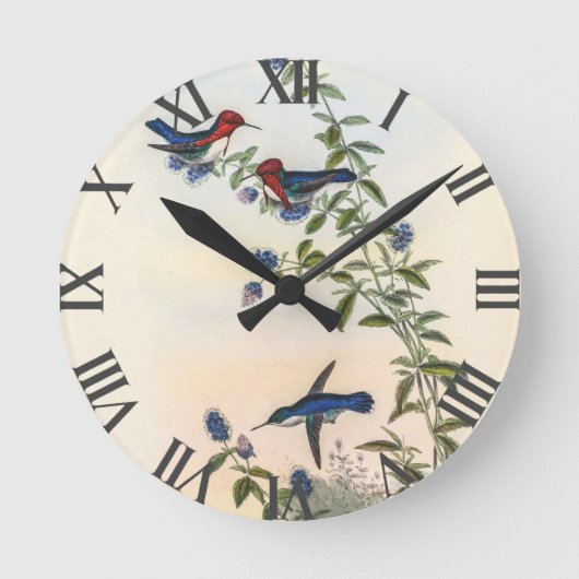 Vintage Hummingvögel von John Gould Runde Wanduhr (Vorderseite)