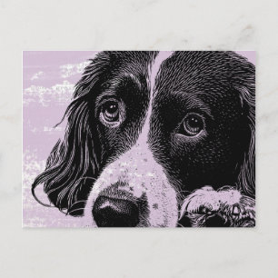 Vintage Hund Postkarte