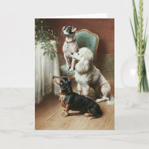 Vintage - Hunde bewundern einen Weihnachtsbaum, Feiertagskarte