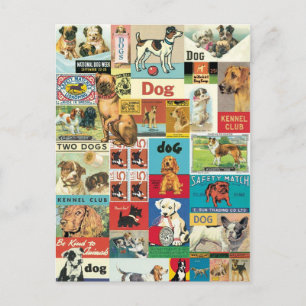 Vintage-Hunde-Collage Postkarte