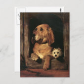 Vintage Hunde Postkarte (Vorne/Hinten)