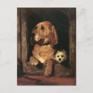 Vintage Hunde Postkarte