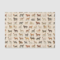 Vintage Hunde Rassen Gemustert