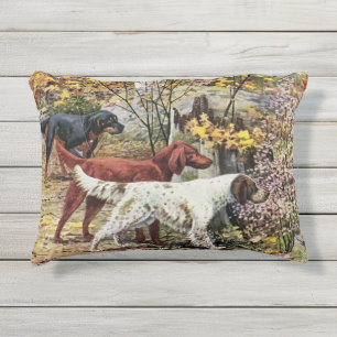 Vintage Hunde Setter Trio Outdoor Akzentkissen Kissen Für Draußen