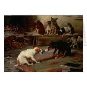 Vintage - Hunde spielen Tauziehen,