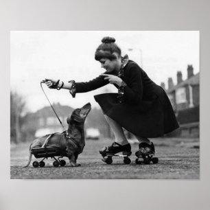 Vintage-Hundefotos Dachshund-Hunde Retro-Tierliebe Poster