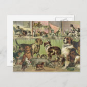 Vintage Hundepostkarte Postkarte (Vorne/Hinten)