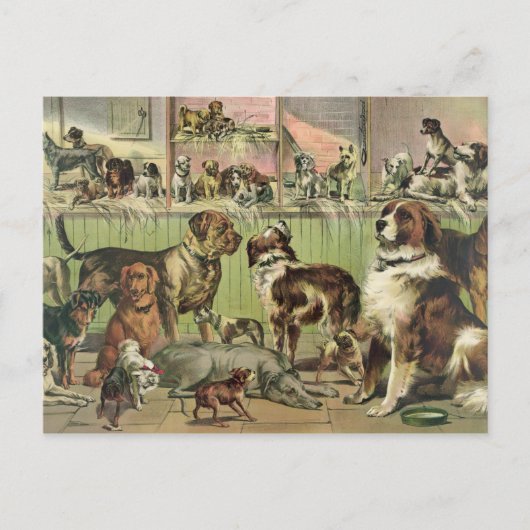 Vintage Hundepostkarte Postkarte (Vorderseite)