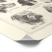 Vintage Hunderasse Poster (Ecke)