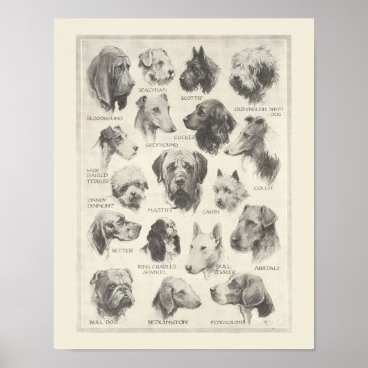 Vintage Hunderasse Poster (Vorne)