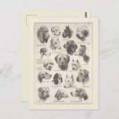 Vintage Hunderasse Postkarte (Vorne/Hinten)