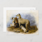 Vintage Hunderassen drucken Postkarte (Vorne/Hinten)