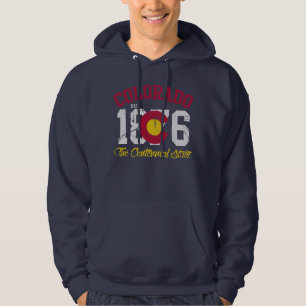 Vintage hundertjährige Staats-Flagge 1876 Est Hoodie