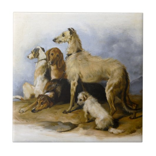 Vintage Hundezucht Fliese (Vorderseite)