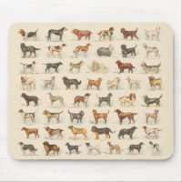 Vintage Hundezucht