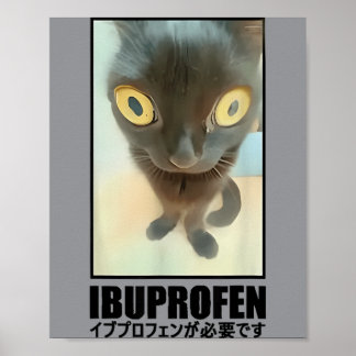 Vintage Ich brauche Ibuprofen Lustiges Katzen-Meme Poster
