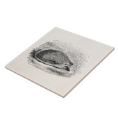 Vintage Igel 1800s Igels-Illustration Fliese (Seite)