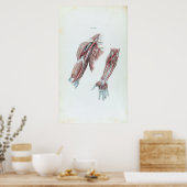 Vintage Illustration Anatomie der menschlichen Waf Poster (Küche)