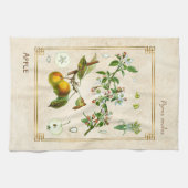 Vintage Illustration Apfelfrucht botanische Flora Geschirrtuch (Horizontal)