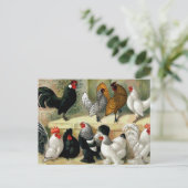 Vintage Illustration "Bantams" Postkarte (Stehend Vorderseite)