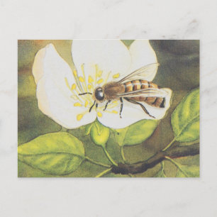 Vintage Illustration : Befinden Sie sich auf einer Postkarte