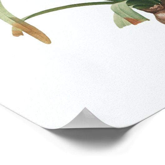 Vintage Illustration Botanische Kunst Poster (Ecke)