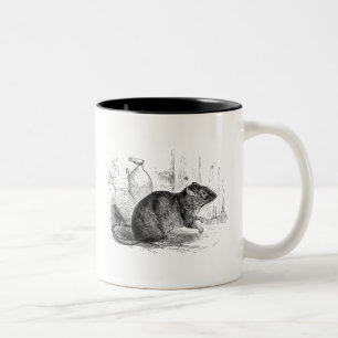 Vintage Illustration Braune Scheunenratte Ratten 1 Zweifarbige Tasse
