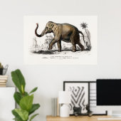 Vintage Illustration der asiatischen Elefanten aus Poster (Heimbüro)