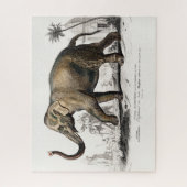Vintage Illustration der asiatischen Elefanten aus Puzzle (Vertikal)