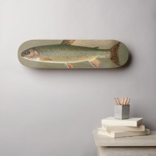 Vintage Illustration der Bachforelle Skateboard