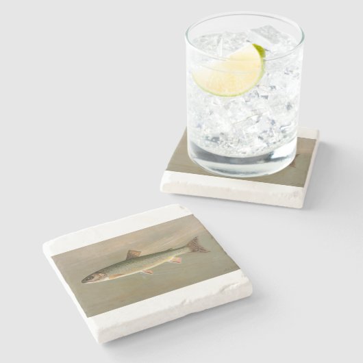 Vintage Illustration der Bachforelle Steinuntersetzer (Seitenansicht)