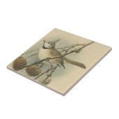 Vintage Illustration der europäischen Crested Tit Fliese (Seite)