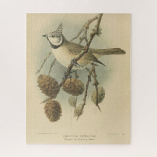 Vintage Illustration der europäischen Crested Tit Puzzle