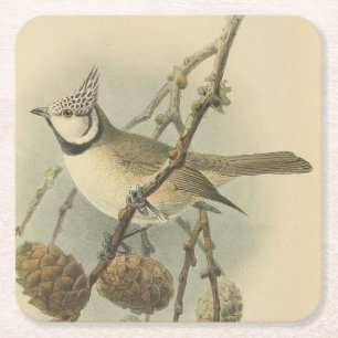 Vintage Illustration der europäischen Crested Tit Rechteckiger Pappuntersetzer