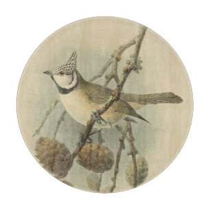 Vintage-Illustration der Haubenmeise Schneidebrett