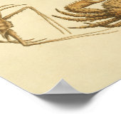 Vintage Illustration der Krebserkunst Poster (Ecke)