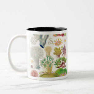 Vintage-Illustration der Meeresbiologie Australien Zweifarbige Tasse